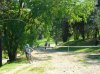 DSCN3077.jpg