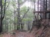 IMG_0824.jpg
