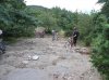 DSCF3279.jpg