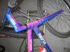 klein for sell 009.jpg