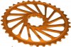 Pignone 36d arancio.jpg
