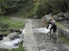 DSC01215.jpg
