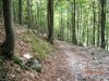 DSCN1120.jpg
