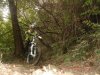 DSC08908.jpg