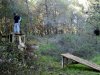 10102010048.jpg
