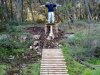 10102010047.jpg