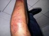 IMG00027-20101015-1007.jpg