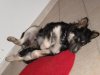 DSCN0415.jpg