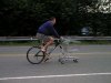 grocery_cart_bicycle.jpg