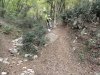 DSC01288.jpg