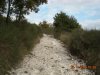 Uscita del 23.10.2010 002.jpg