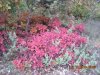 Uscita del 23.10.2010 004.jpg