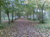 30102010.jpg