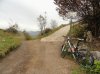 DSC01296.jpg