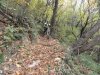 DSC01303.jpg