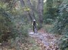 31102010747.jpg