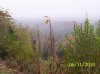 100_0665.jpg