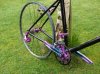 purple_kona_565.jpg