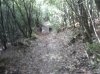 Foto031.jpg