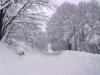 21112010306.jpg