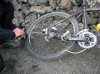 DSCN7391.jpg