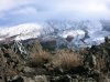 DSCN7367.jpg