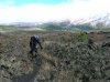 DSCN7374.jpg