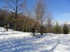 DSC01383.jpg