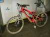 Cinghiala 07 Low.jpg