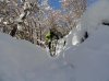 DSC01418.jpg