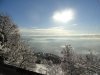 DSC01390.jpg