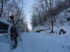 DSC01398.jpg