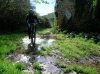 DSCN7647.jpg
