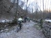 DSC01435.jpg