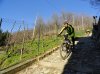 DSC01441.jpg