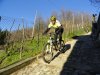 DSC01442.jpg