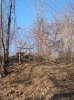 IMG_0999.jpg