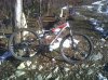 IMG00023-20101214-1200.jpg