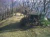IMG00035-20101214-1250.jpg