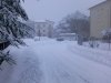 Foto0068.jpg