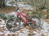 IMAG0042.jpg