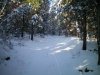100_0354.jpg