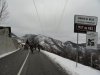 DSC01521.jpg