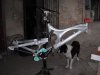 v10-small-1.jpg