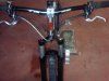lynskey.jpg