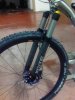 lynskey forca.jpg