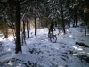 100_0356.jpg