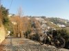 DSC01627.jpg