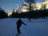 Val ferret.jpg