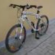 alex 4900